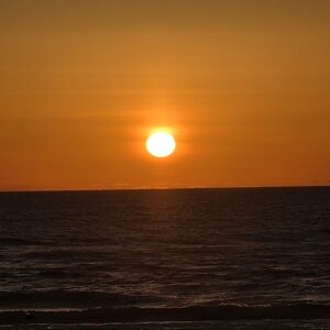 Meet your Posher, Taunya